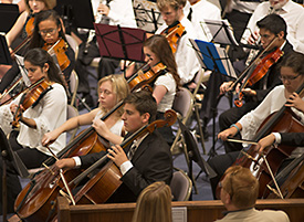 some LASYO violas and cellos 2015